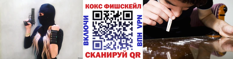 цены наркотик  shop официальный сайт  КОКАИН FishScale  Камышин 