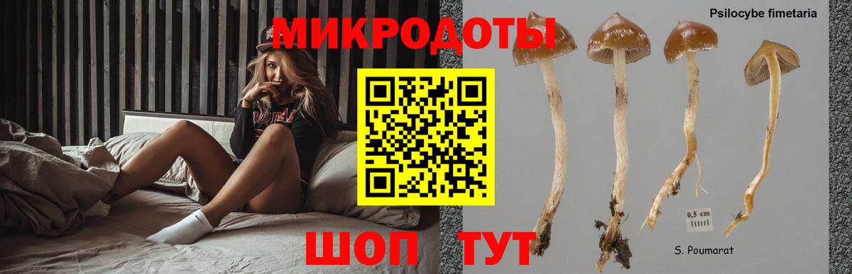Галлюциногенные грибы GOLDEN TEACHER Камышин